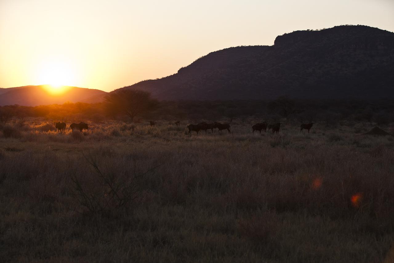 Gabus Game Ranch Villa Otavi Eksteriør bilde