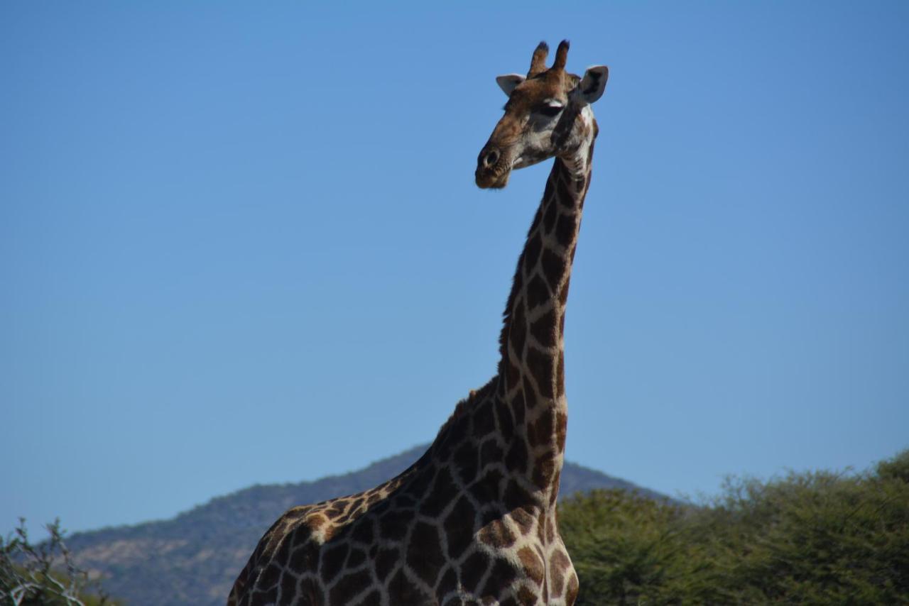Gabus Game Ranch Villa Otavi Eksteriør bilde