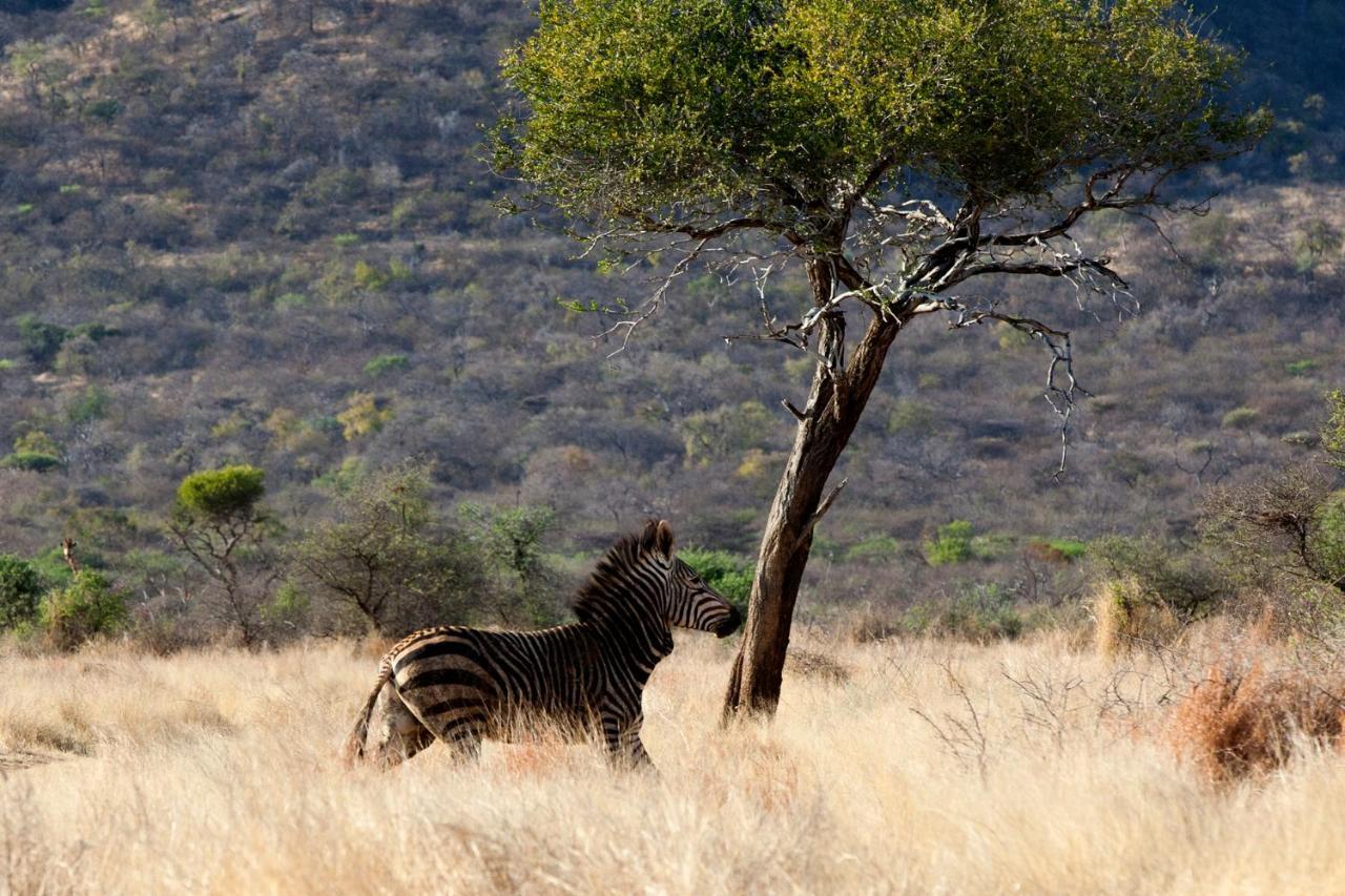 Gabus Game Ranch Villa Otavi Eksteriør bilde