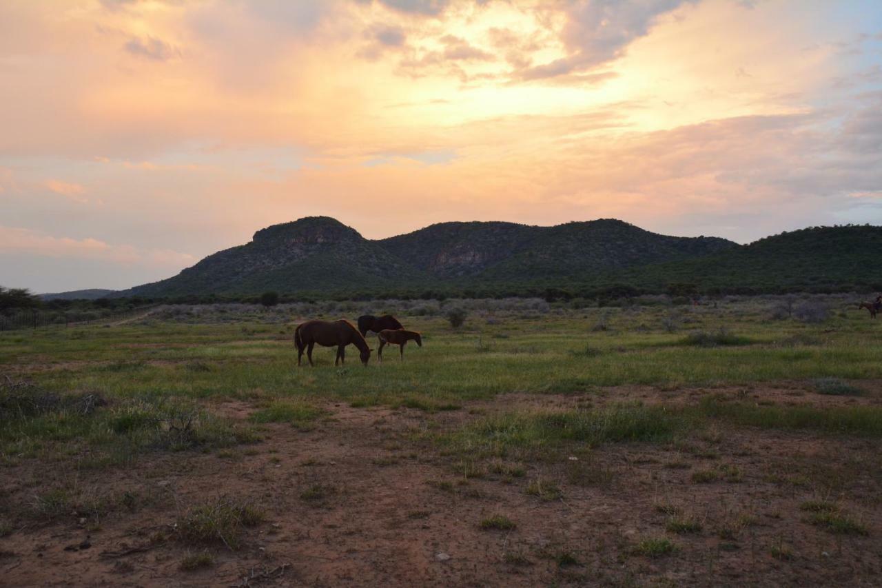 Gabus Game Ranch Villa Otavi Eksteriør bilde